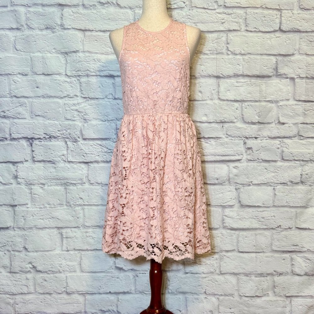 Wendy Bird Flamingo Floral Lace Knee-Length Dress